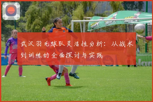 武汉羽毛球队灵活性分析：从战术到训练的全面探讨与实践