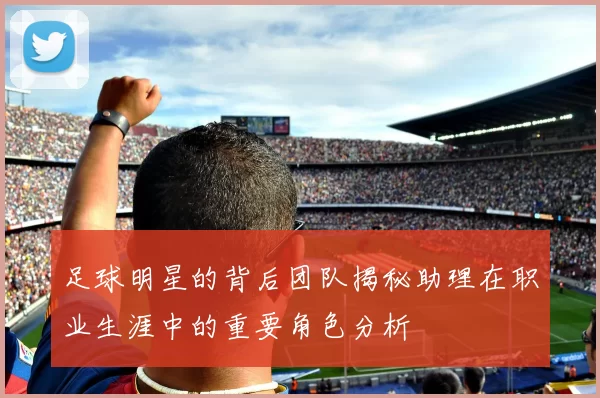 足球明星的背后团队揭秘助理在职业生涯中的重要角色分析