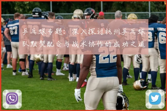 乒乓球专题：深入探讨杭州乒乓球队默契配合与战术协作的成功之道