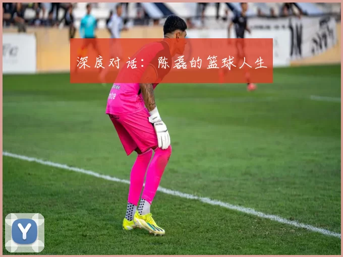 深度对话：陈磊的篮球人生