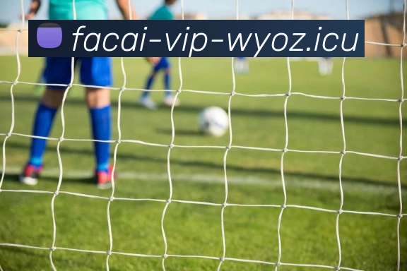 米兰体育平台生态图